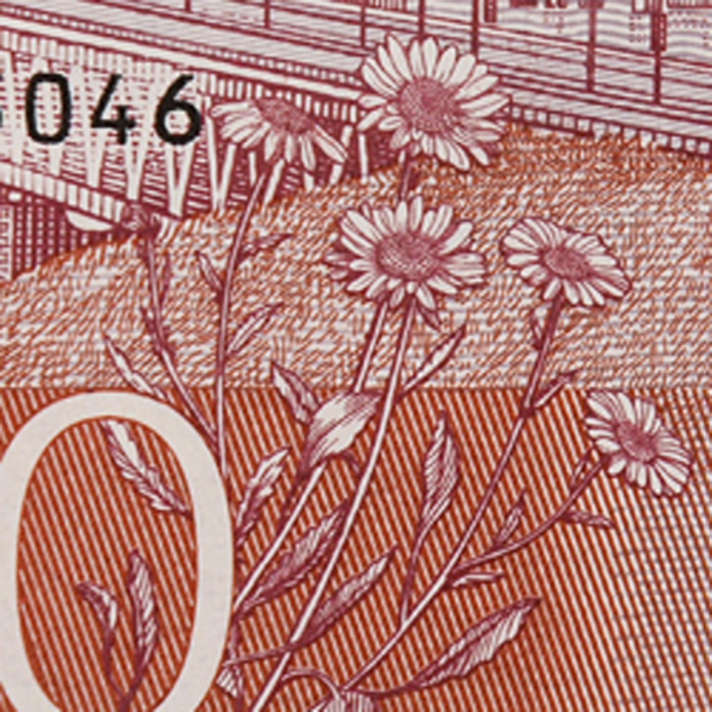 500-krona banknote flower back)
