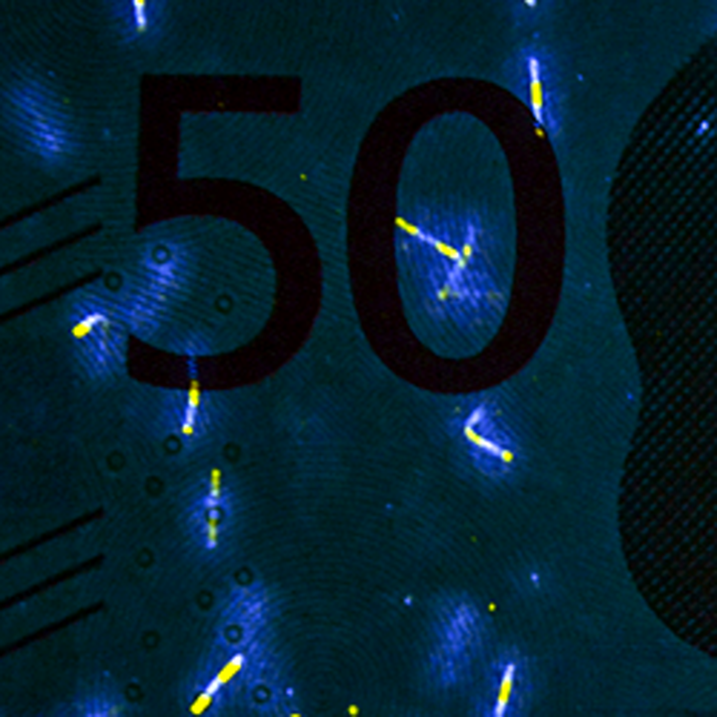 50-krona banknote UV fibres front)