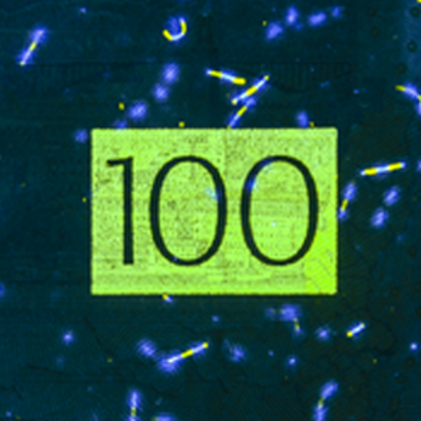 100-krona banknote UV image back)