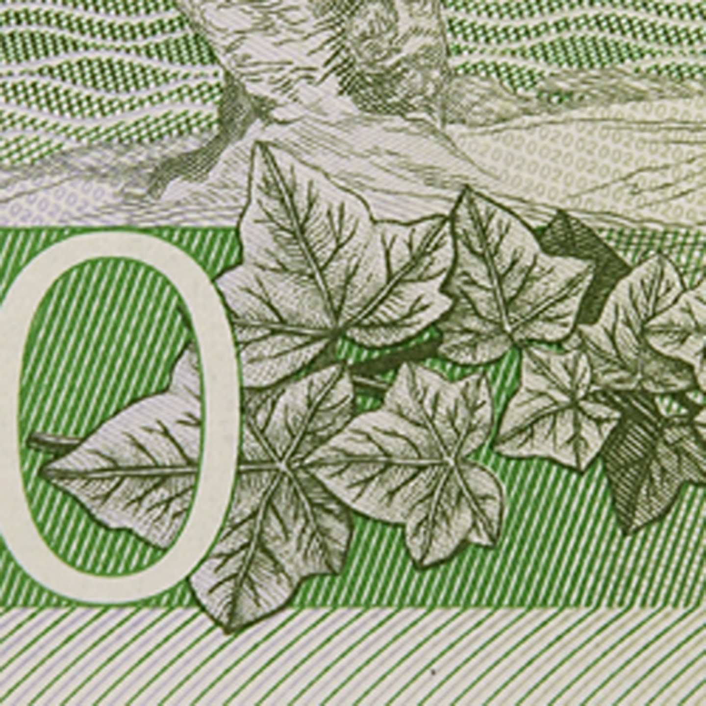 200-krona banknote motif ivy back)