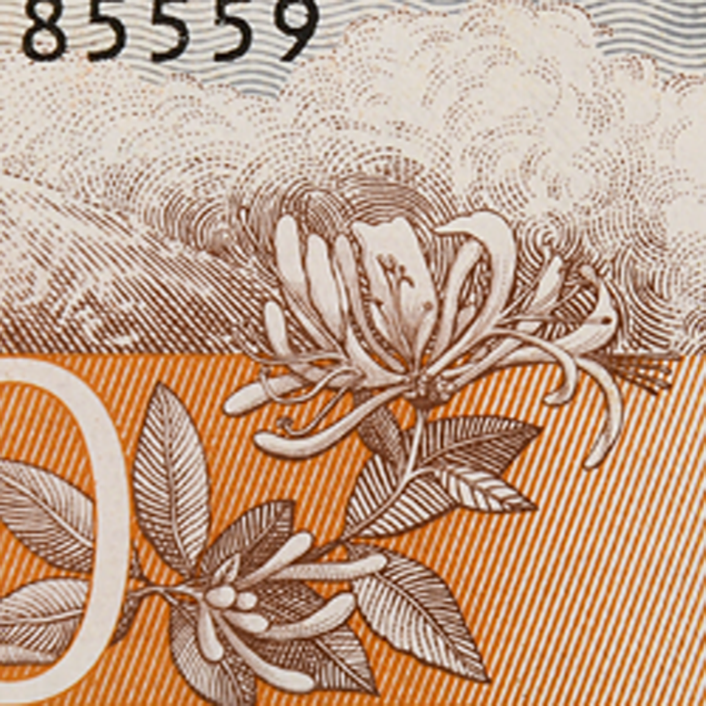 50-krona banknote motif provincial flower back)