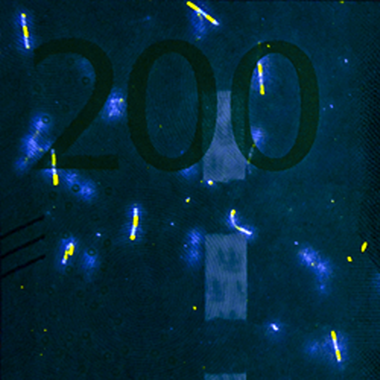 200-krona banknote UV fibres front)