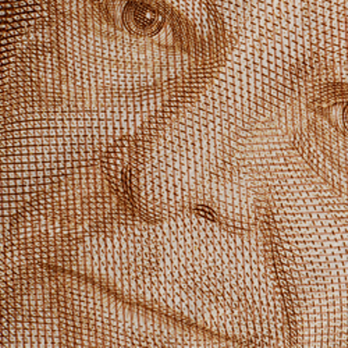 50-krona banknote Intaglio print front)