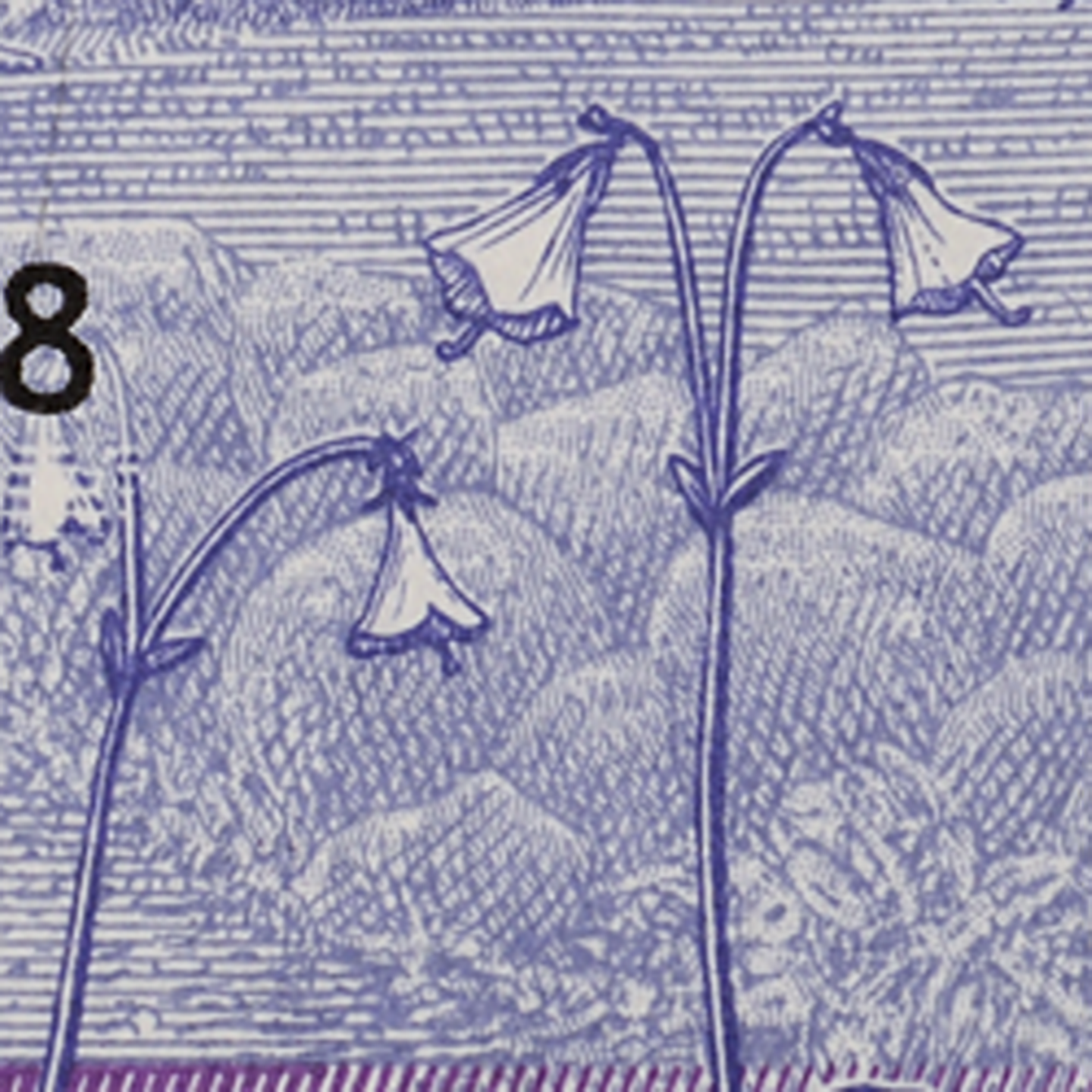 20-krona banknote provincial flower back)