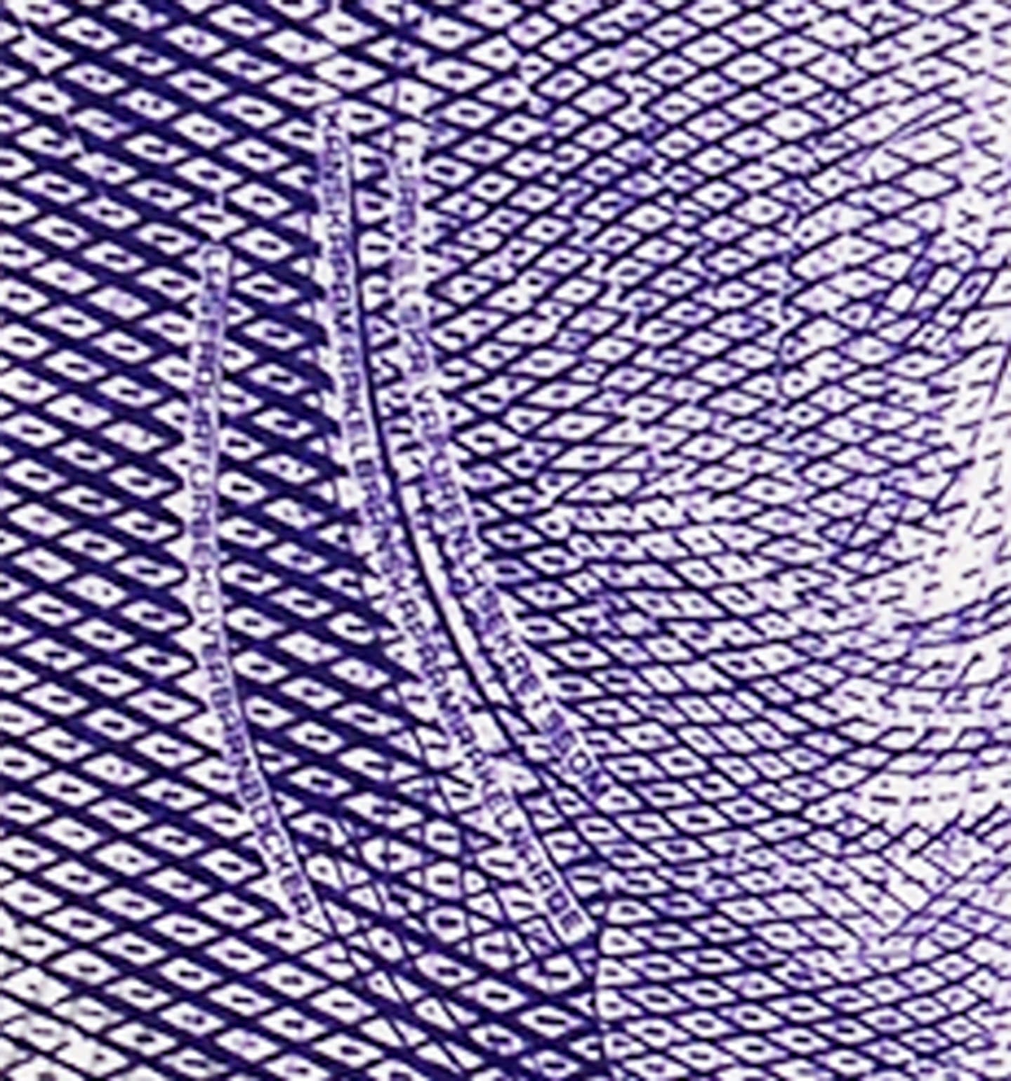 20-krona banknote minitext hair front)
