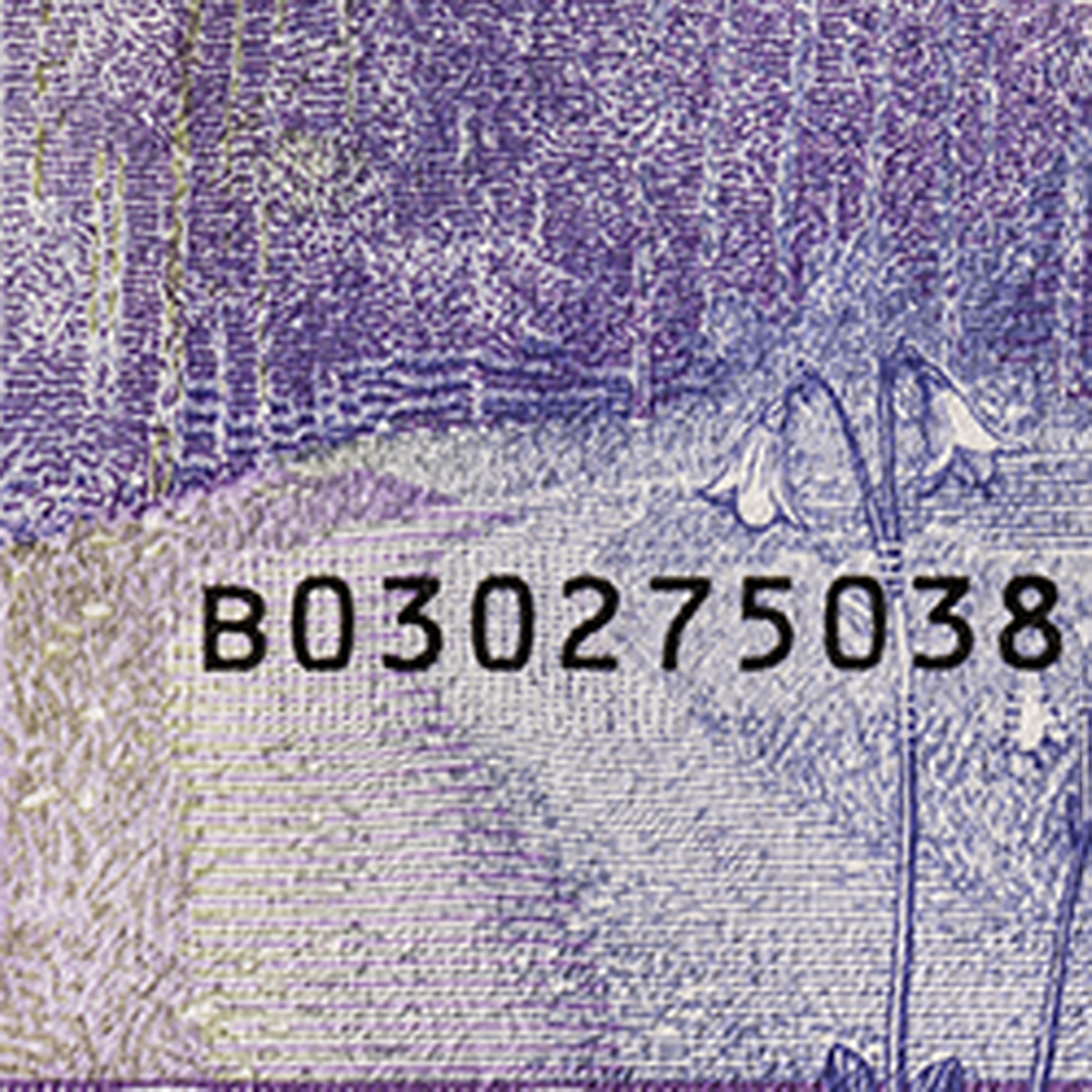 20-krona banknote motif forest road back)