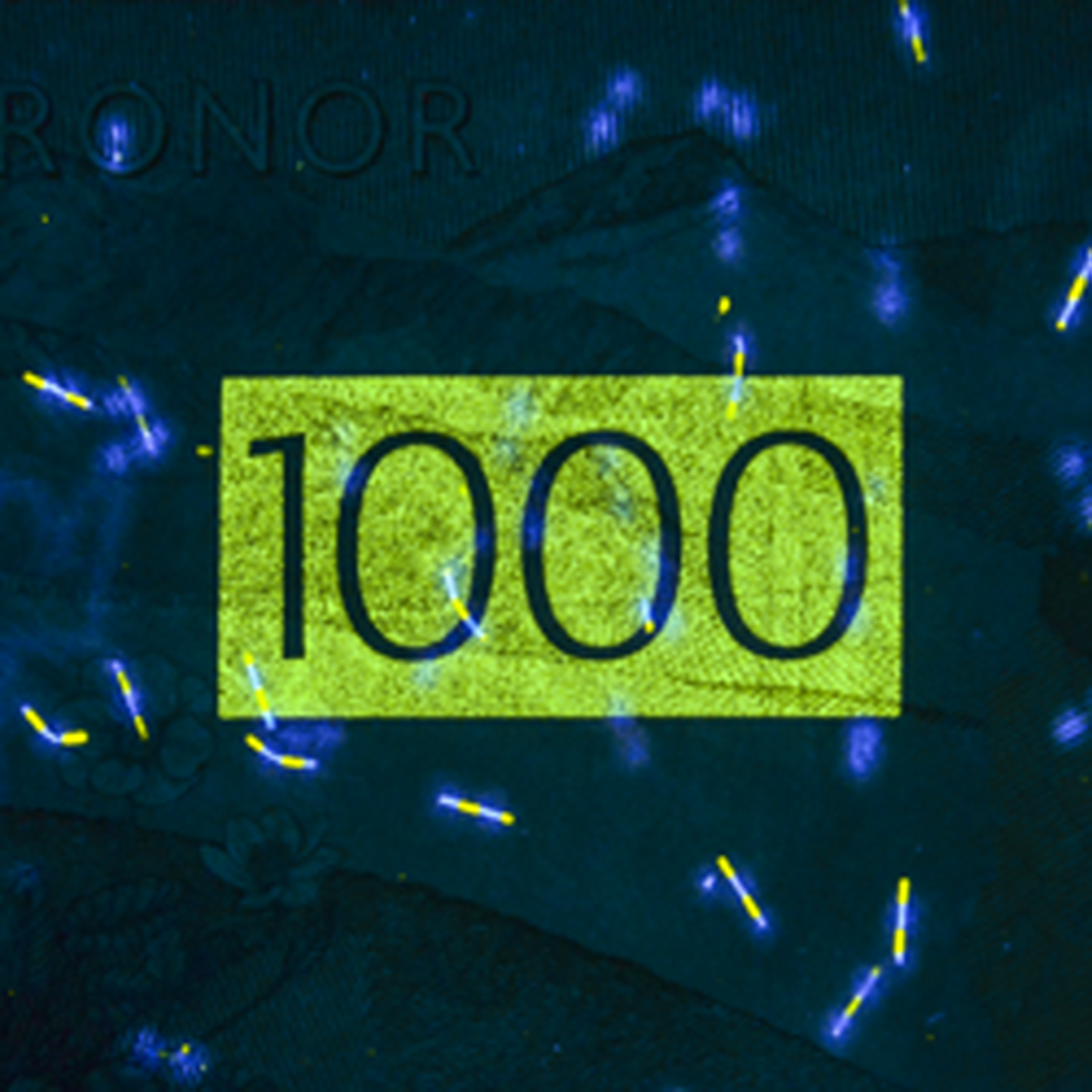 1000-kronorssedel UV-bild bak)
