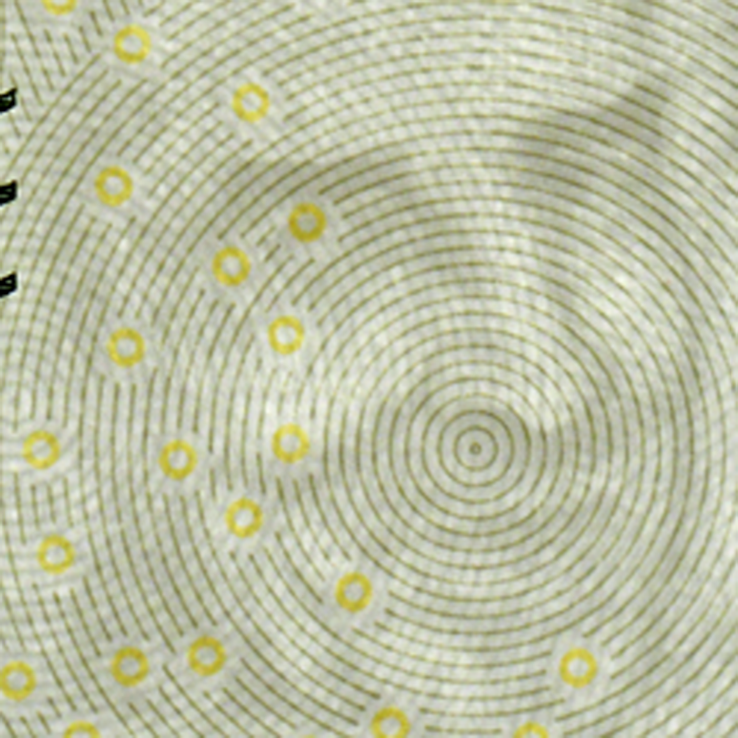 200-krona banknote watermark front)