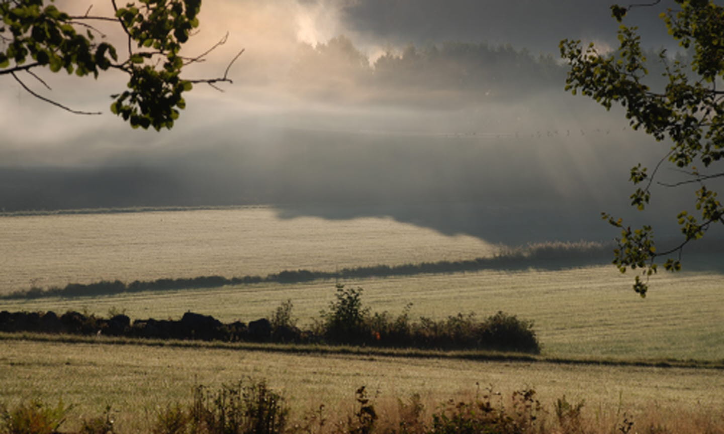 Landscape with morning fog