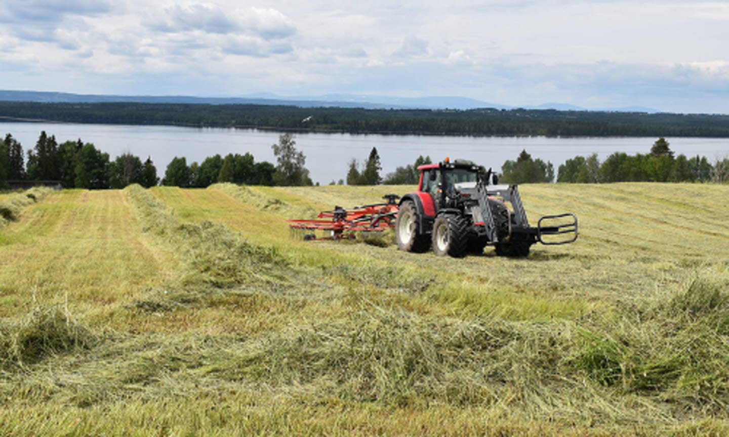 A red tractor in a field