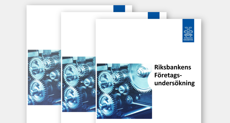 Rapportomslag för företagsundersökningen.