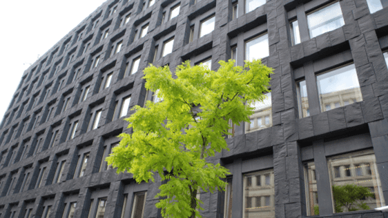 Film about the Riksbank building