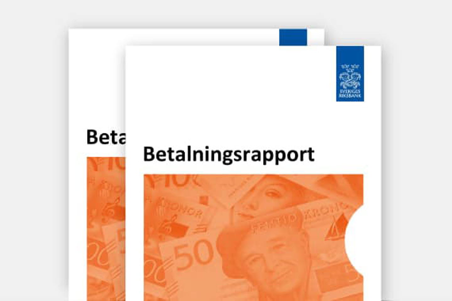 Betalningsrapporten omslag