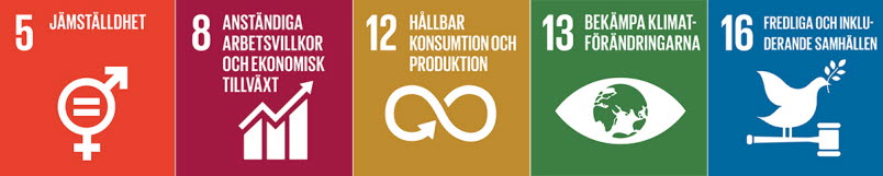 Agenda 2030 och 5 av de globala målen