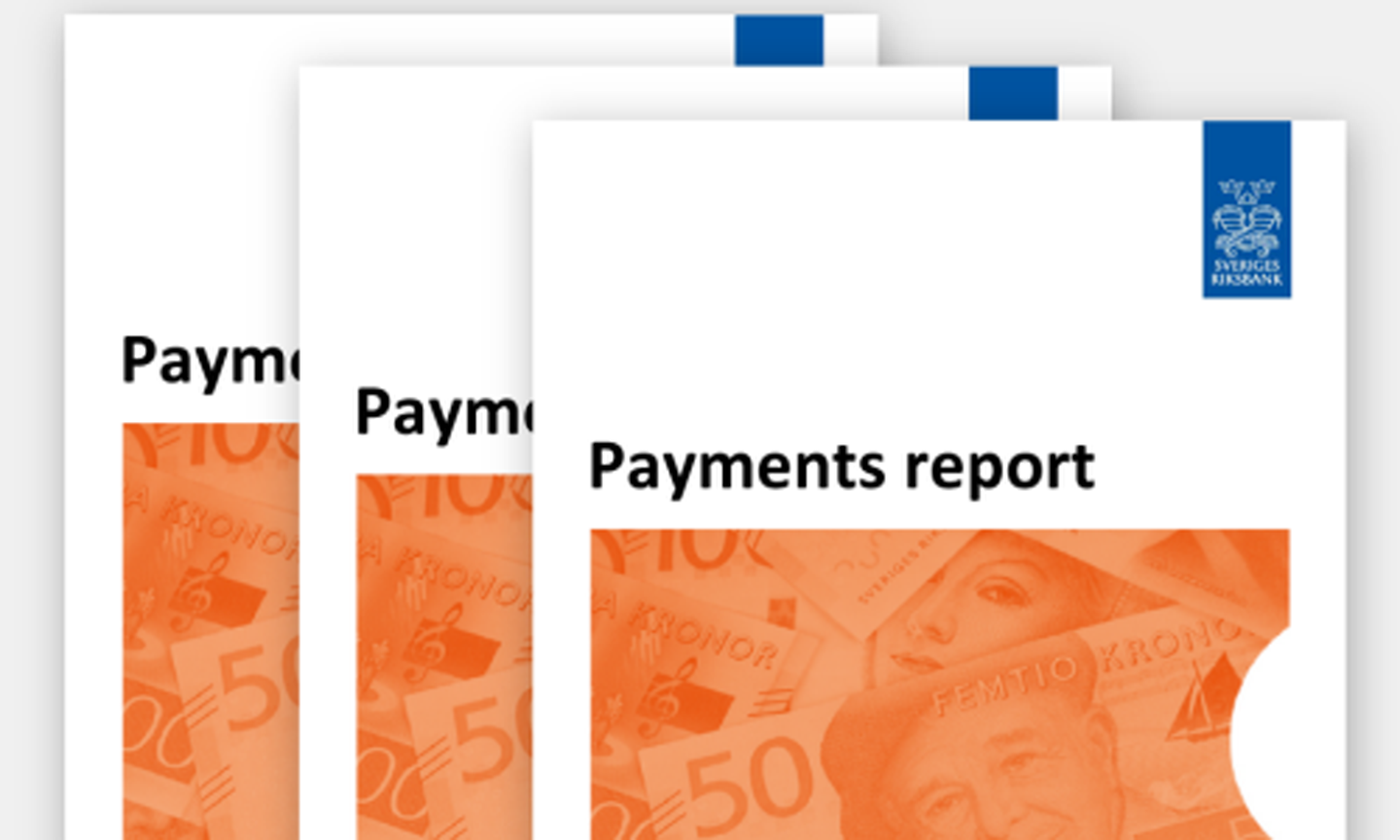 Payments Report Cover